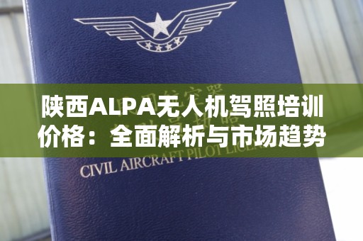 陕西ALPA无人机驾照培训价格：全面解析与市场趋势