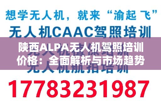 陕西ALPA无人机驾照培训价格：全面解析与市场趋势