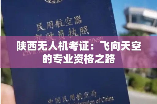 陕西无人机考证：飞向天空的专业资格之路